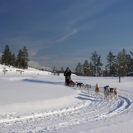 Alevi Camping Stollet Экстерьер фото